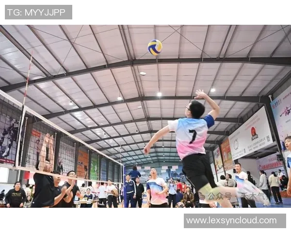 排球新手必看：提升耐力的全面入门攻略与训练技巧分享